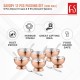 FNS Savory 6 Bowls and 6 Spoons Set for Ice Cream/Pudding/Dessert- Stainless Steel Bowls Set with Spoon |Food Grade Safe | Fancy Serving Bowls for Snacks -Rose Gold