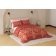 Raymond Home Avenue Cotton Rich King Bedsheet with 2 Pillow Covers