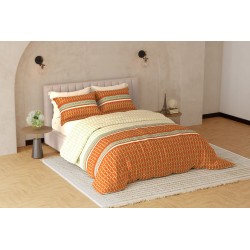 Raymond Home Avenue Cotton Rich King Bedsheet with 2 Pillow Covers