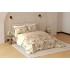 Raymond Home Avenue Cotton Rich King Bedsheet with 2 Pillow Covers