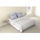 Raymond Home Vision 144 TC King Size Bedsheet with 2 Pillow Covers